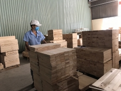 Wood industry faces fierce competition for imported raw materials