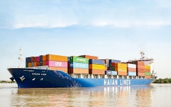 Vietnamese shipping lines are entering the international market