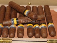seizing over 850 cigars illegally transported via noi bai
