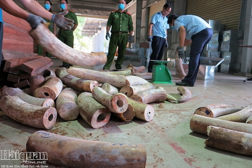 which company is named on the wood shipment hidden over 91 tons of ivory in dang nang port