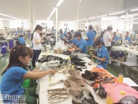 Footwear industry: Optimistic with predicted export turnover of 22 billion USD