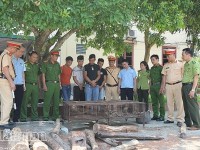 Ha Tinh Customs seizes pangolin, turtles and more than 410 kg of precious wood