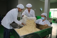 Cashew exports are expected to prosper in the second half of the year
