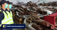 Customs officers seize HK$5.5 million worth of endangered red sandalwood