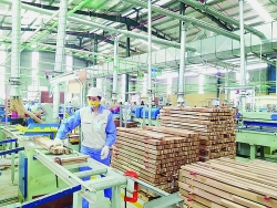 control imported wood to help development of the wood industry