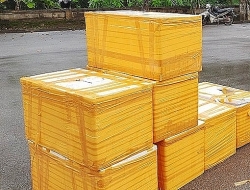 500 kg smuggled sturgeon seized