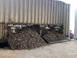 Company fined VND15 million for hiding 24 tonnes of coal inside wood chips