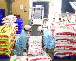 Reduce import of raw materials to stabilize animal feed market