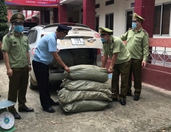 Cao Bang seizes more than two tons of tobacco materials