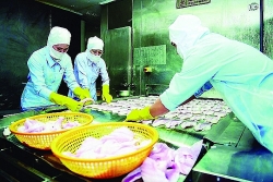 Japan overtakes the US, becoming the number one seafood import market of Vietnam
