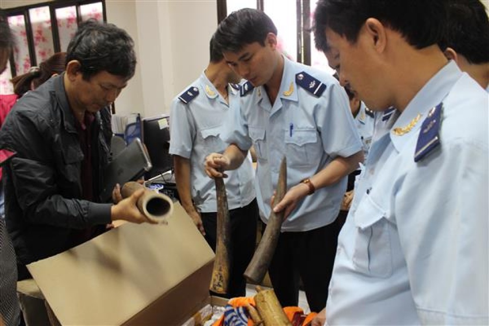 customs detected 353 violations by air