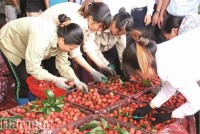 Fruit and vegetable export: Beside acceleration is worrying