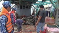 Coast Guard is the main force in the fight against smuggling by sea