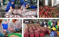 Agricultural production was US$4.5 billion in the first half of the year