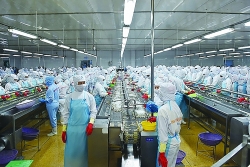 Seafood enterprises increase deep processing for export