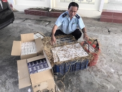 Dong Thap Customs seizes smuggled cigarettes hidden inside straw