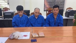 Dien Bien Customs seizes two bricks of heroin