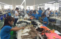 leather and footwear exports forecasted to hit the target of 215 billion