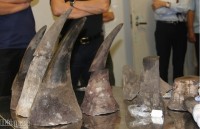 Rhino horns and cigars transported to Vietnam by air