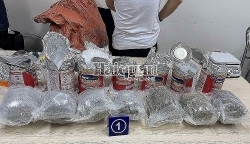 HCM City Customs seizes huge volume of drugs