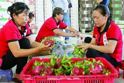 vietnamese goods accelerate to penetrate the cambodian market