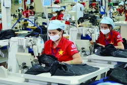 UKVFTA promotes Vietnam-UK trade to increase rapidly