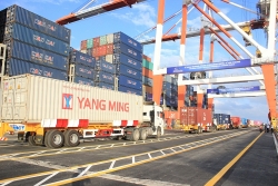 Export and import turnover hits USD403 billion