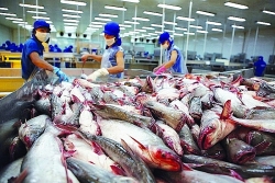 Seafood exports in the second half of the year will be weaker