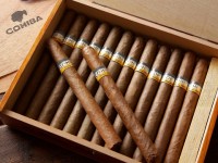 Seizing over 850 cigars illegally transported via Noi Bai