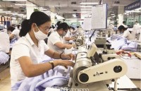 Draft amended Labour Code: Enterprises worry about increasing costs