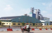 "Health" of twelve big shelved projects: Phuong Nam Pulp Factory struggles to auction assets