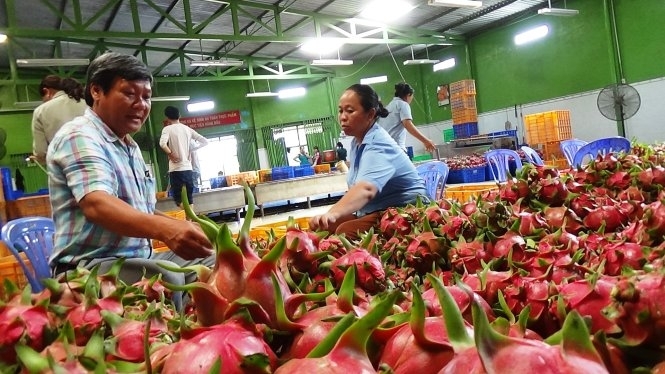 delay in exporting fruits to the us businesses concerned
