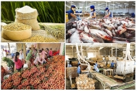 Agricultural products see trade surplus of US$6.2 billion in eight months