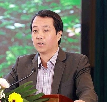 Speeding up the opening of export markets for Vietnamese wood