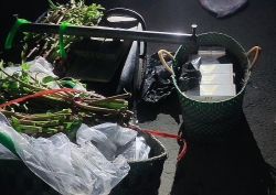 Smuggled cigarettes hidden inside packs of water spinach