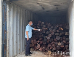 Hai Phong Customs prosecutes smuggling case of red sandalwood
