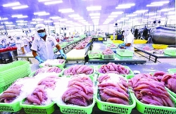 Fear of raw material shortage for export production