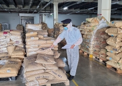 Quang Ninh Customs collects more than VND10 billion from post clearance audit
