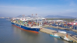 Customs completes “open port” pilot mechanism at Cai Mep Port cluster