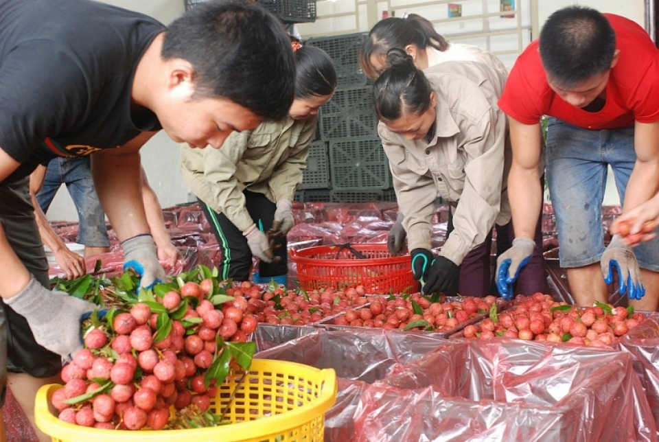 agriculture fishery to china need to accept requirements