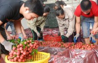 Agriculture, fishery to China: Need to accept requirements