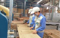 Management of wood import and export faces a series of risks