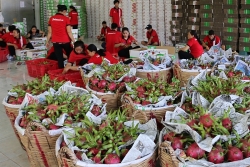 localities loosen management and businesses cheat vietnamese agricultural products may lose markets