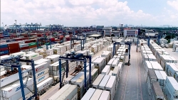Over 1,200 backlog containers of goods at Cat Lai Port cleared
