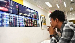 The attraction of the Vietnamese stock market
