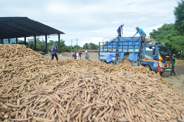 China sharply reduced imports of Vietnamese cassava, increased imports from Thailand