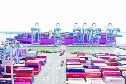 Support enterprises to transport goods in Cai Mep-Thi Vai port complex
