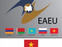 Vietnam’s special preferential import tariff schedule and the Eurasian Economic Union