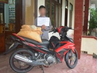 Quang Binh Border Guard arrested a perpetrator who transported 25 kg of explosives