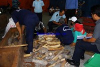 Hiring 4 million vnd to declare smuggled ivory